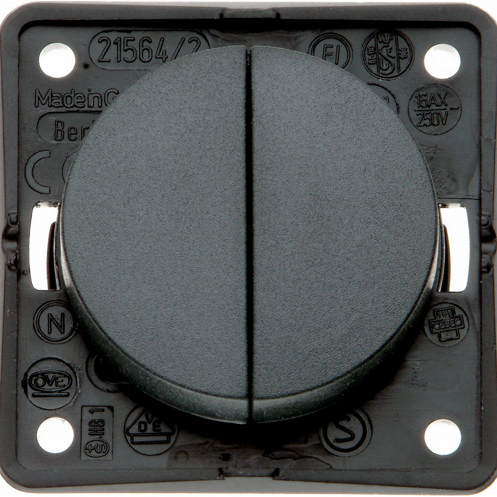 Berker Twin Rocker Switch 250V - Anthracite Black