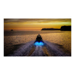 Hella Marine Apelo A1 Blue/White Underwater Light 1800 Lumens (Charcoal Lens)